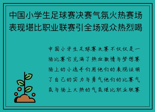 中国小学生足球赛决赛气氛火热赛场表现堪比职业联赛引全场观众热烈喝彩 中国小学生足球赛决赛气氛火热赛场表现堪比职业联赛引全场观众热烈喝彩